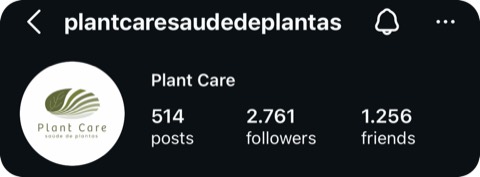 Casa Oliveira Home Decor